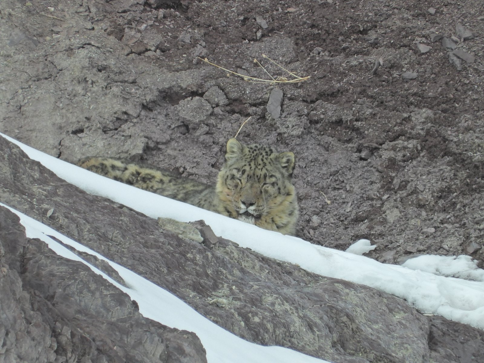 Winter wildlife tours